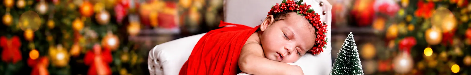 Ashoka Photography Banner 4