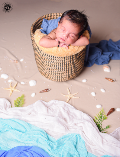 Seashell Seeker