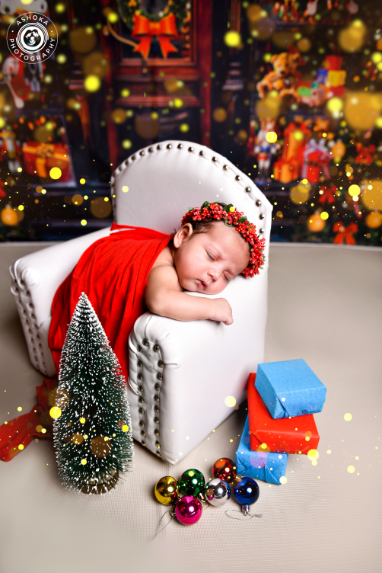 The Best Present Under The Tree